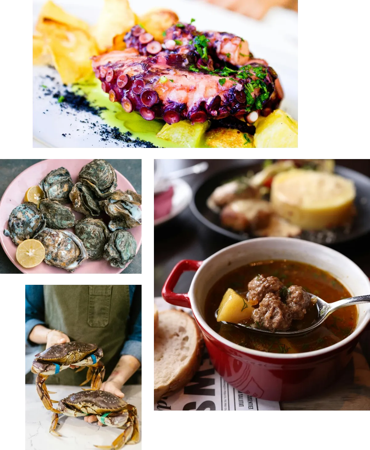 Ocio y gastronomía en Ledicia Camper Park