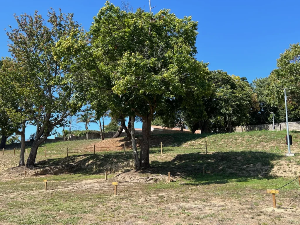 Plaza normal en Ledicia Camper Park