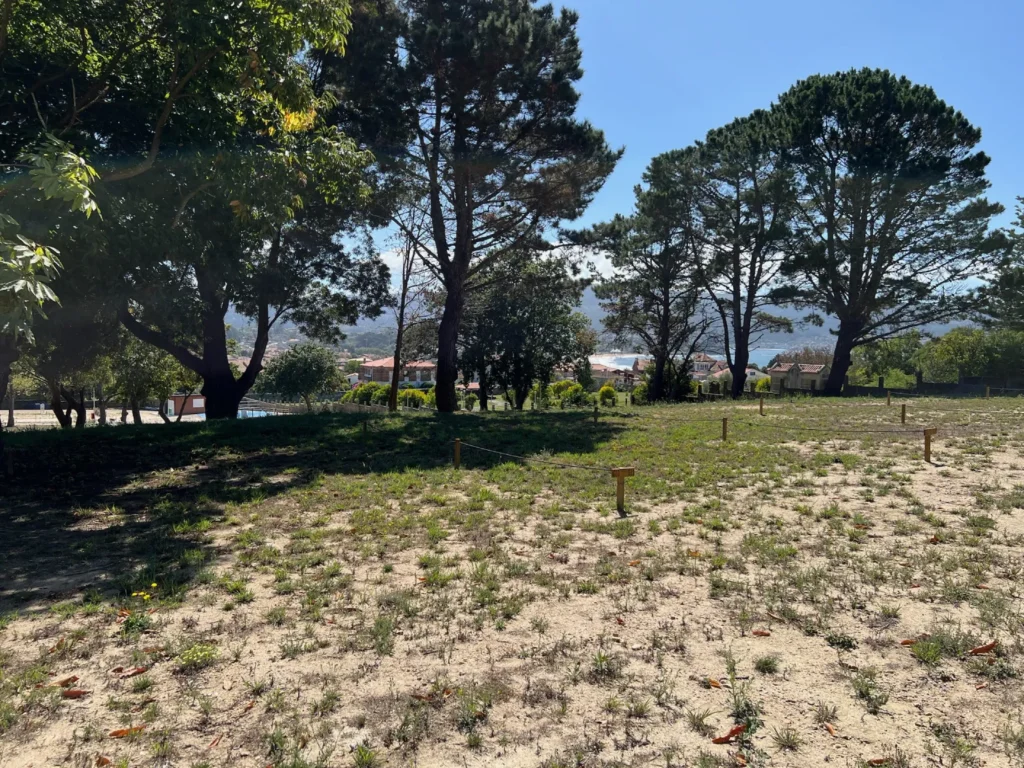 Plaza Premium en Ledicia Camper Park