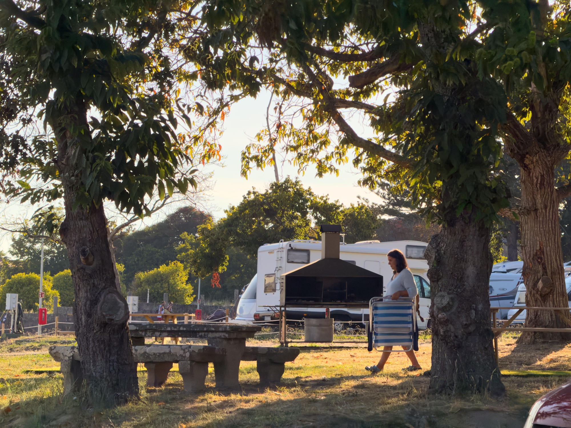 Mesas de piedra y barbacoa a la sombra de árboles centenarios en el jardín de Ledicia Camper Park